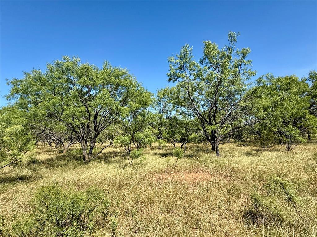 TBD County Road 121 - Photo 34