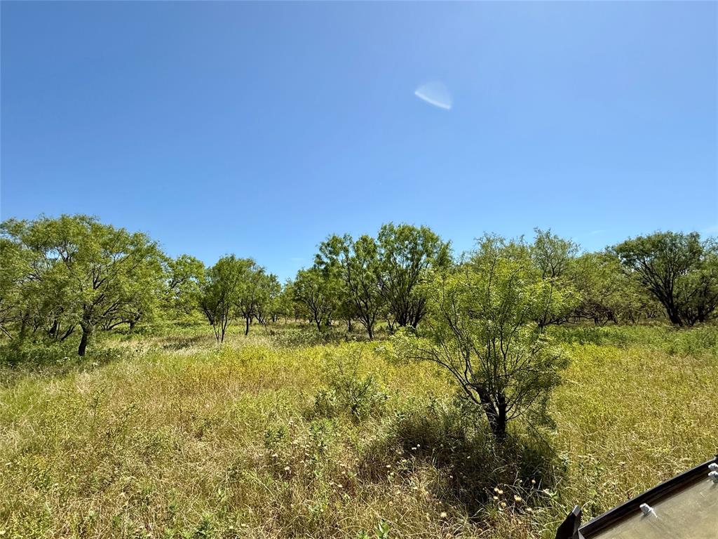 TBD County Road 121 - Photo 36