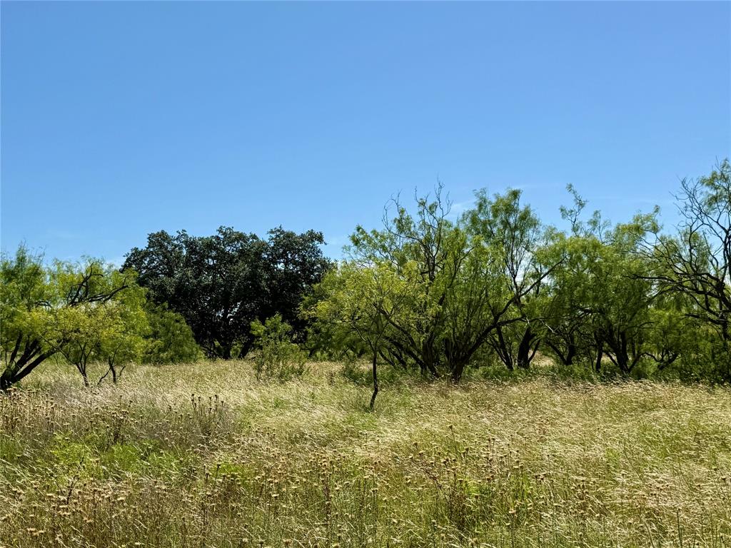 TBD County Road 121 - Photo 37