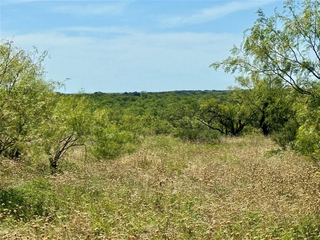 TBD County Road 121 - Photo 39