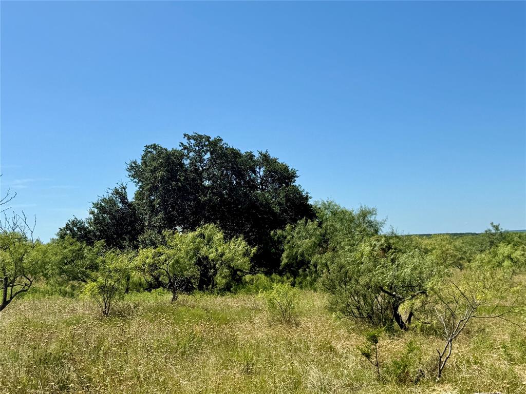 TBD County Road 121 - Photo 40