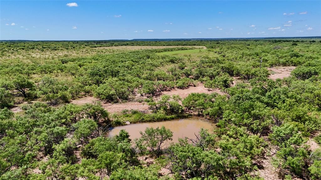 TBD County Road 121 - Photo 6