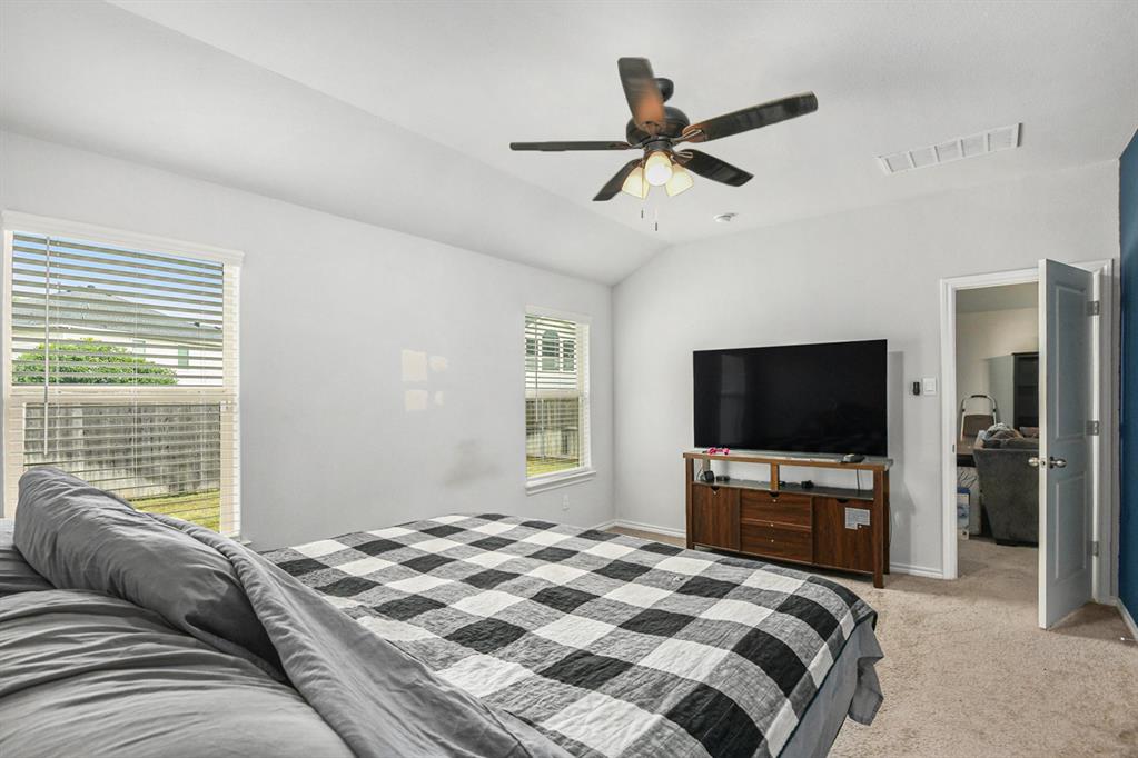 2920 Manu Street - Photo 9