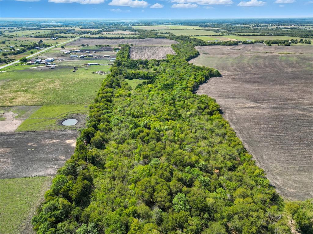 TBD Off Fm 3427 - Photo 6