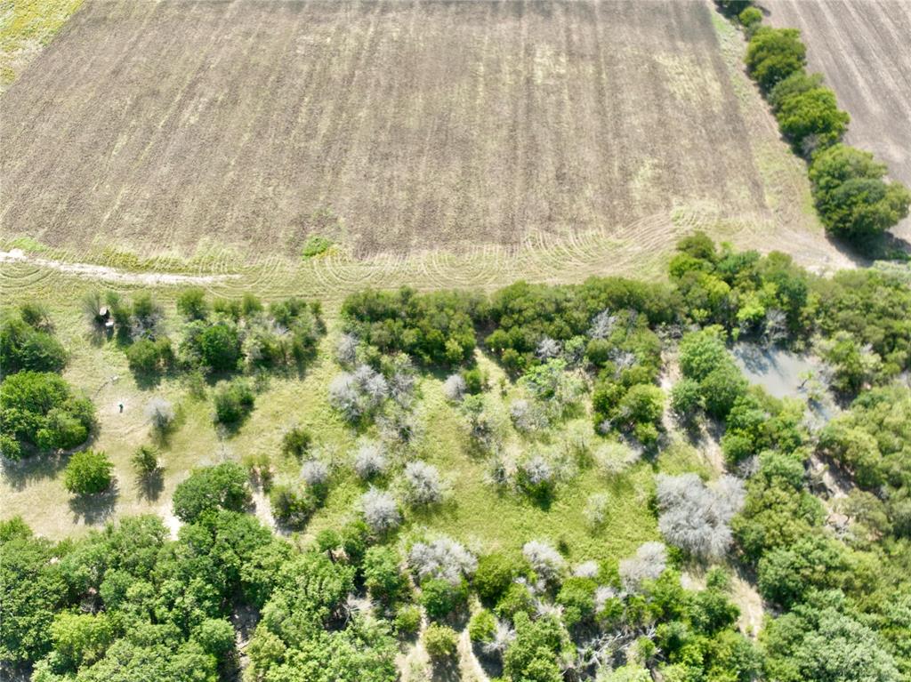 TBD 93.8± acres NW Co Rd 3310 - Photo 6