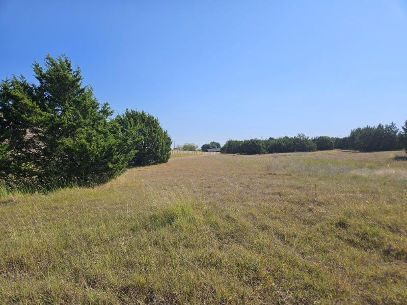 1000 S Joe Wilson Road - Photo 4