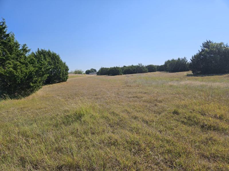 1000 S Joe Wilson Road - Photo 6