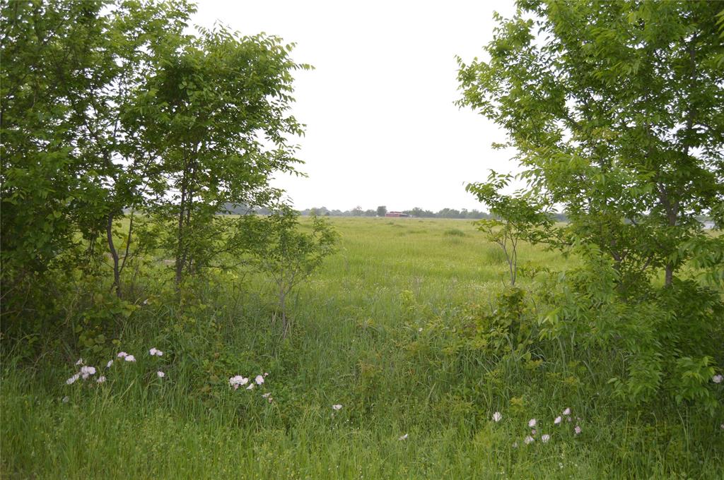 TBD Lot 2 RS County Road 1520 - Photo 1