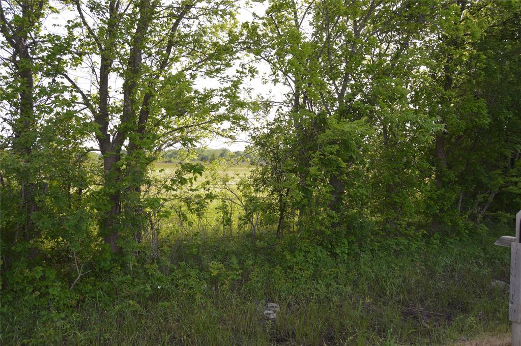 TBD Lot 2 RS County Road 1520 - Photo 10