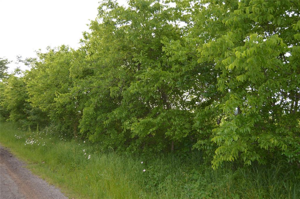 TBD Lot 2 RS County Road 1520 - Photo 11