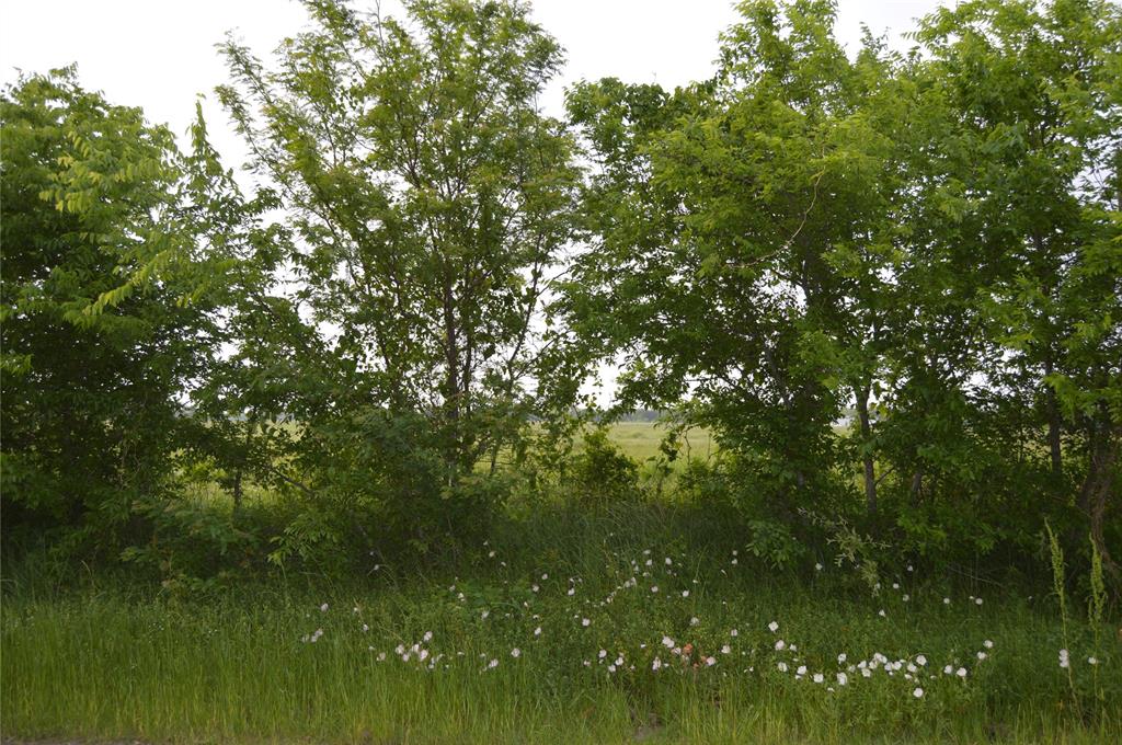 TBD Lot 2 RS County Road 1520 - Photo 12