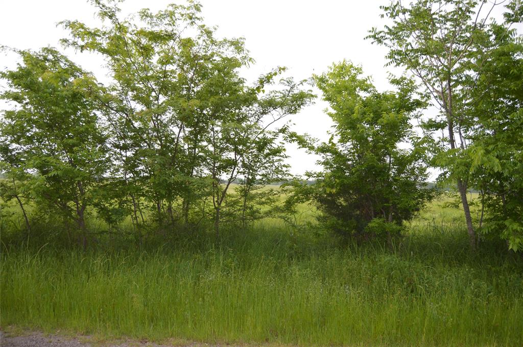 TBD Lot 2 RS County Road 1520 - Photo 13