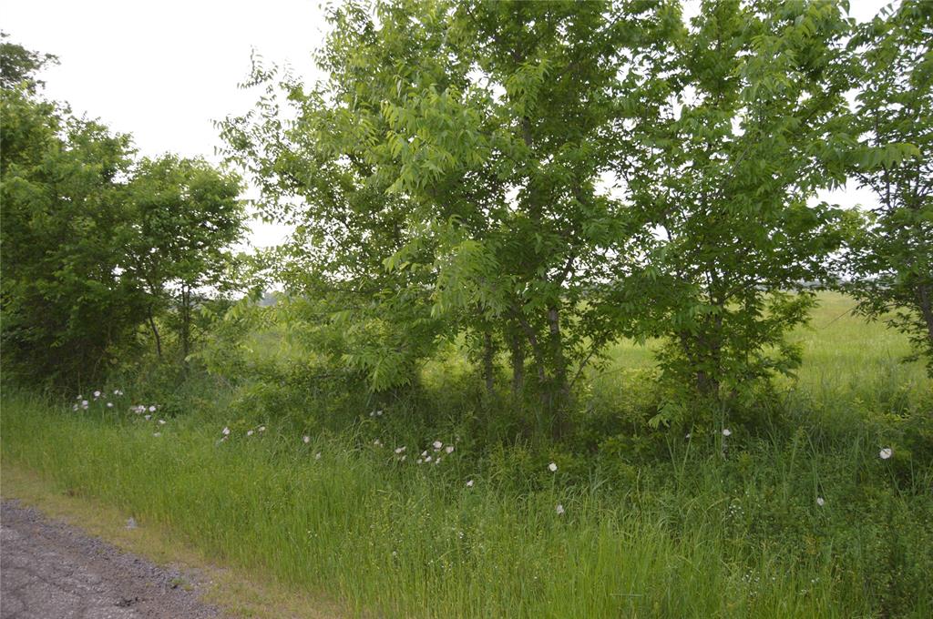 TBD Lot 2 RS County Road 1520 - Photo 14