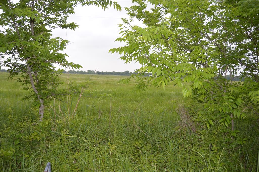 TBD Lot 2 RS County Road 1520 - Photo 2