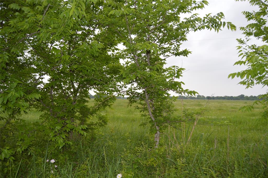 TBD Lot 2 RS County Road 1520 - Photo 3