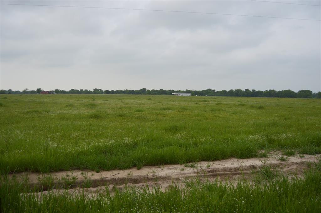 TBD Lot 2 RS County Road 1520 - Photo 5