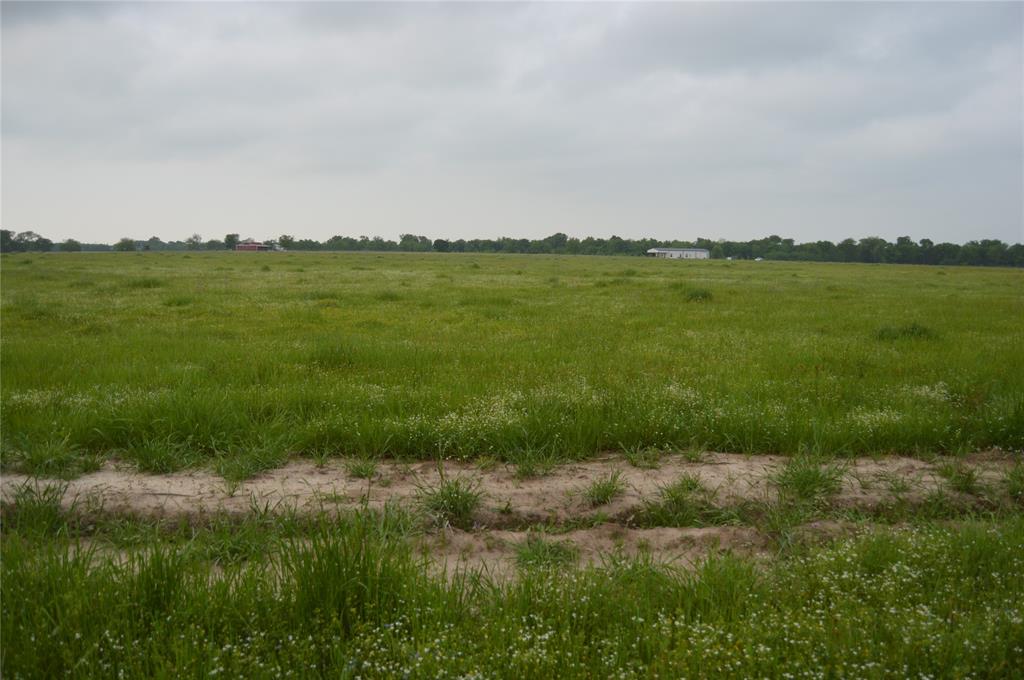 TBD Lot 2 RS County Road 1520 - Photo 8