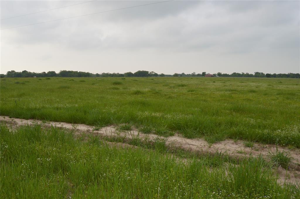 TBD Lot 2 RS County Road 1520 - Photo 9