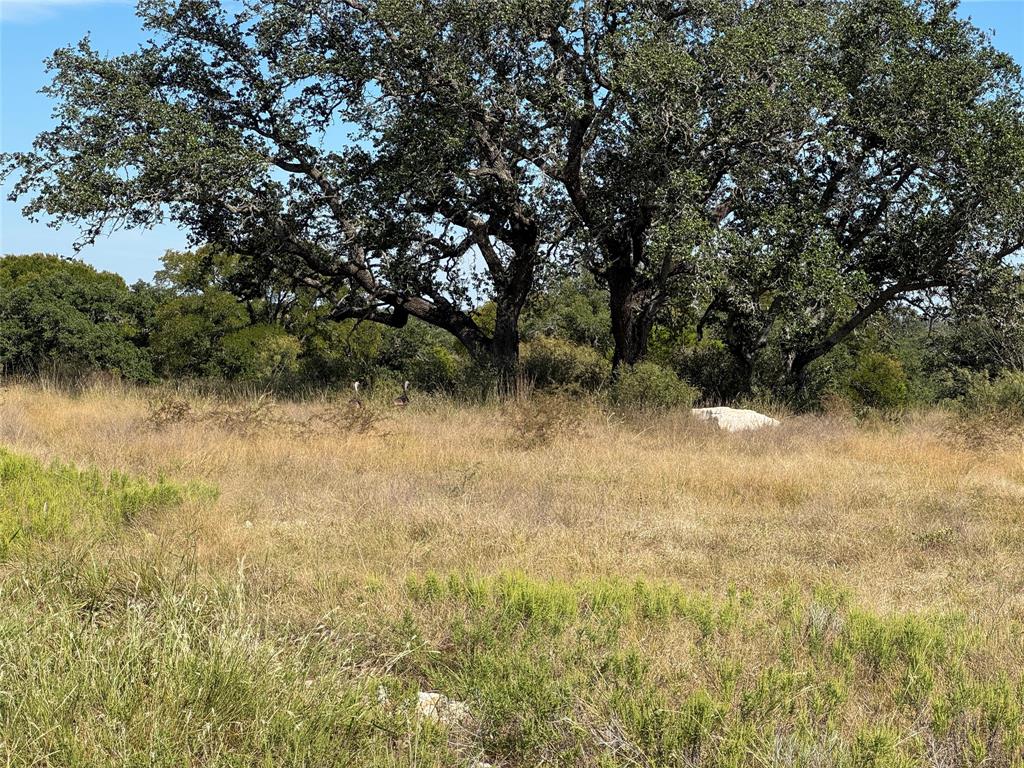 Lot 34 Buck Run - Photo 12