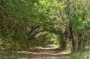 395 County Road 2530 - Photo 34