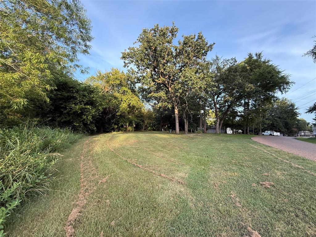 TBD Lake Drive - Photo 10