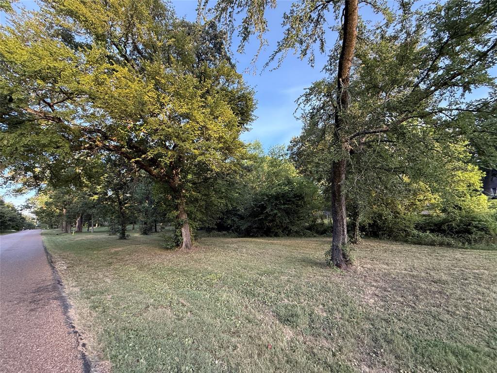 TBD Lake Drive - Photo 11