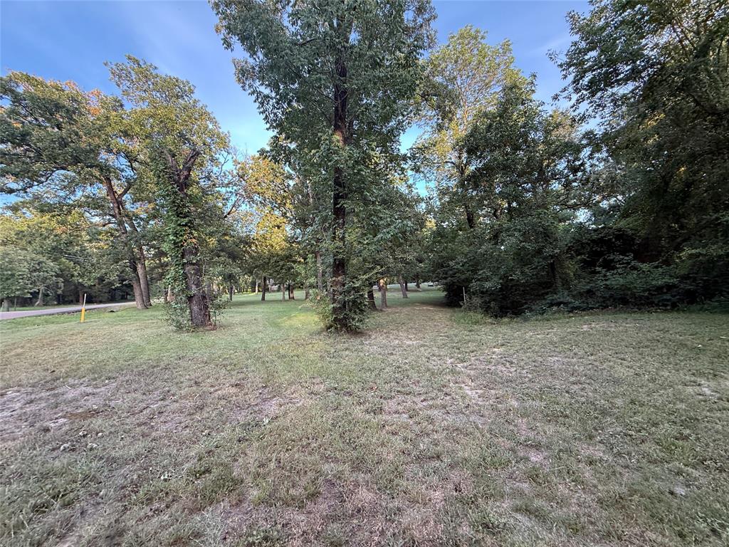 TBD Lake Drive - Photo 13