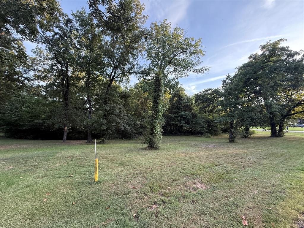 TBD Lake Drive - Photo 14
