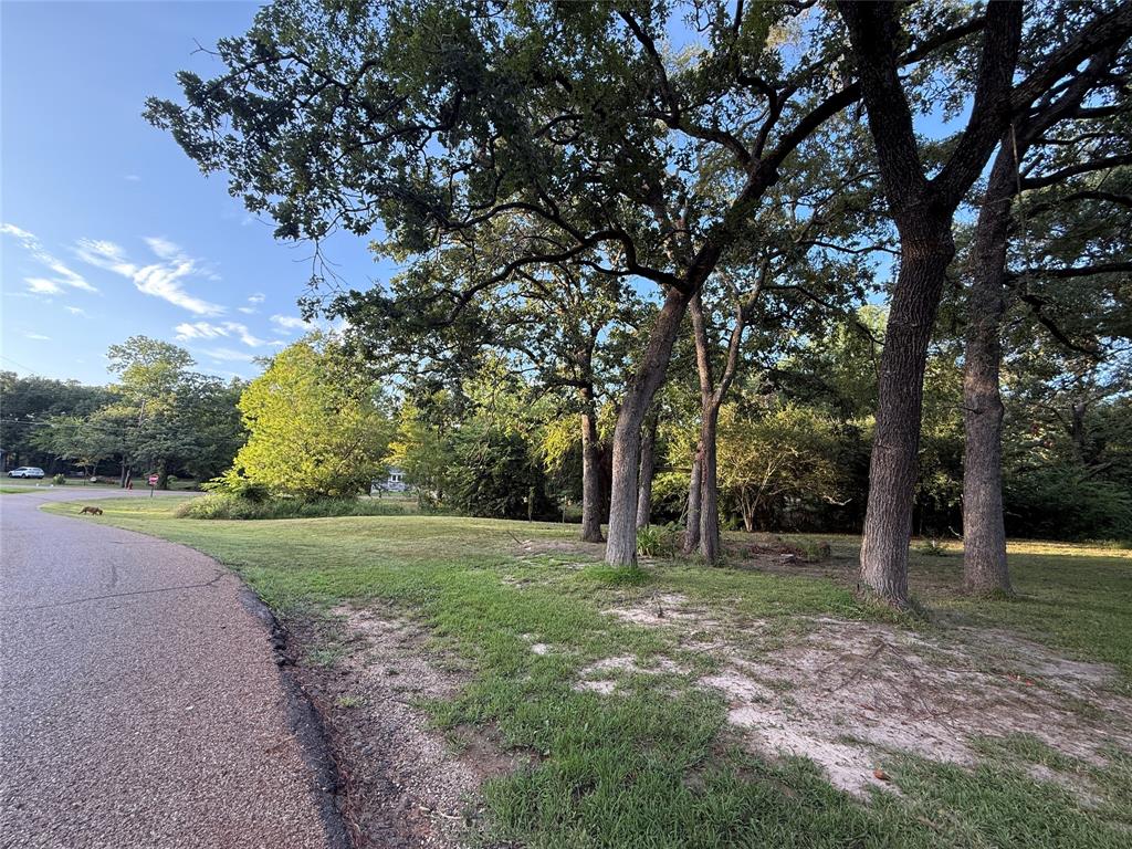 TBD Lake Drive - Photo 6