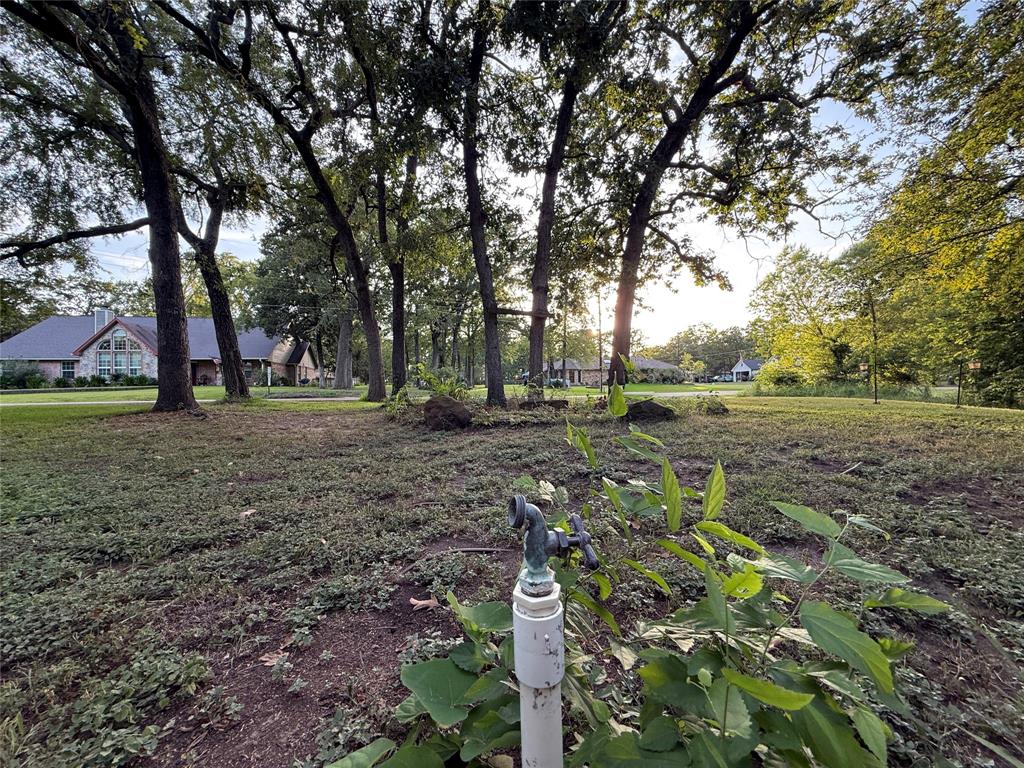 TBD Lake Drive - Photo 7