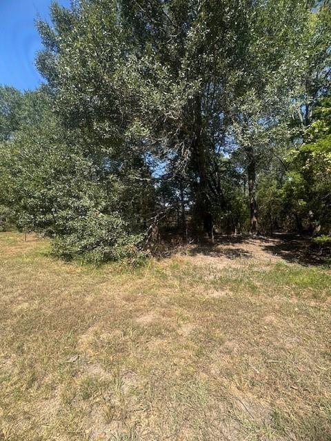 TBD N Highway 69 - Photo 12