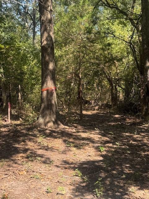 TBD N Highway 69 - Photo 13