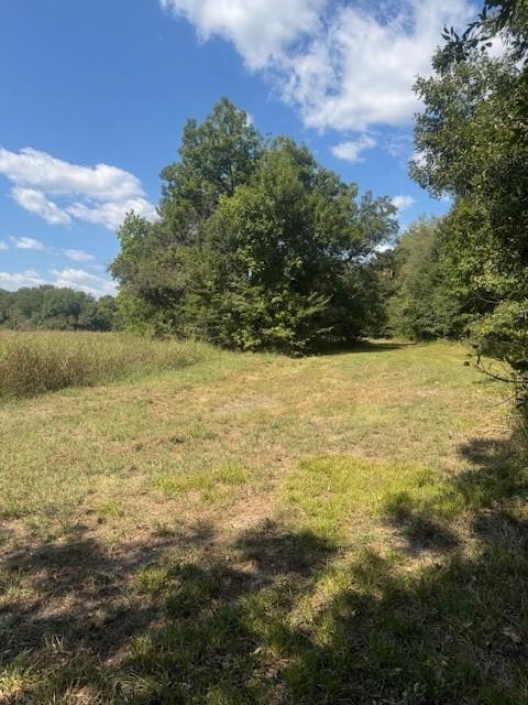 TBD N Highway 69 - Photo 17