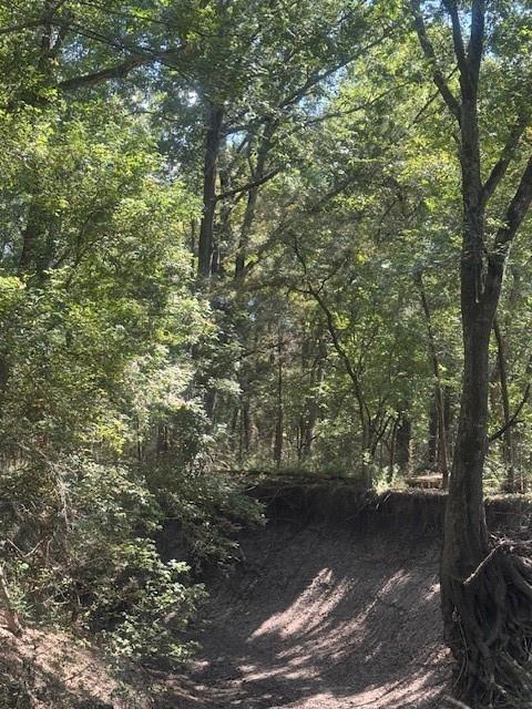 TBD N Highway 69 - Photo 19