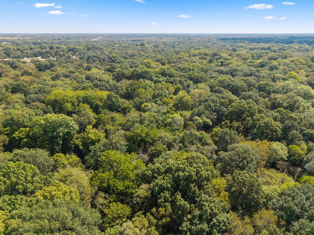 TBD N Highway 69 - Photo 26