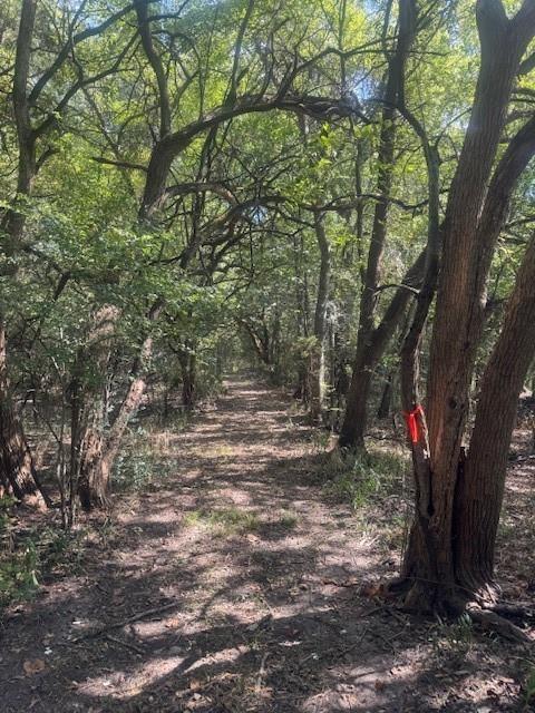 TBD N Highway 69 - Photo 28