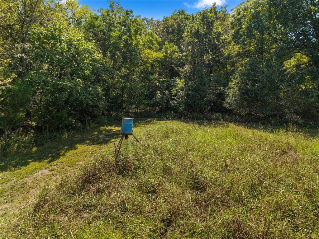 TBD N Highway 69 - Photo 5