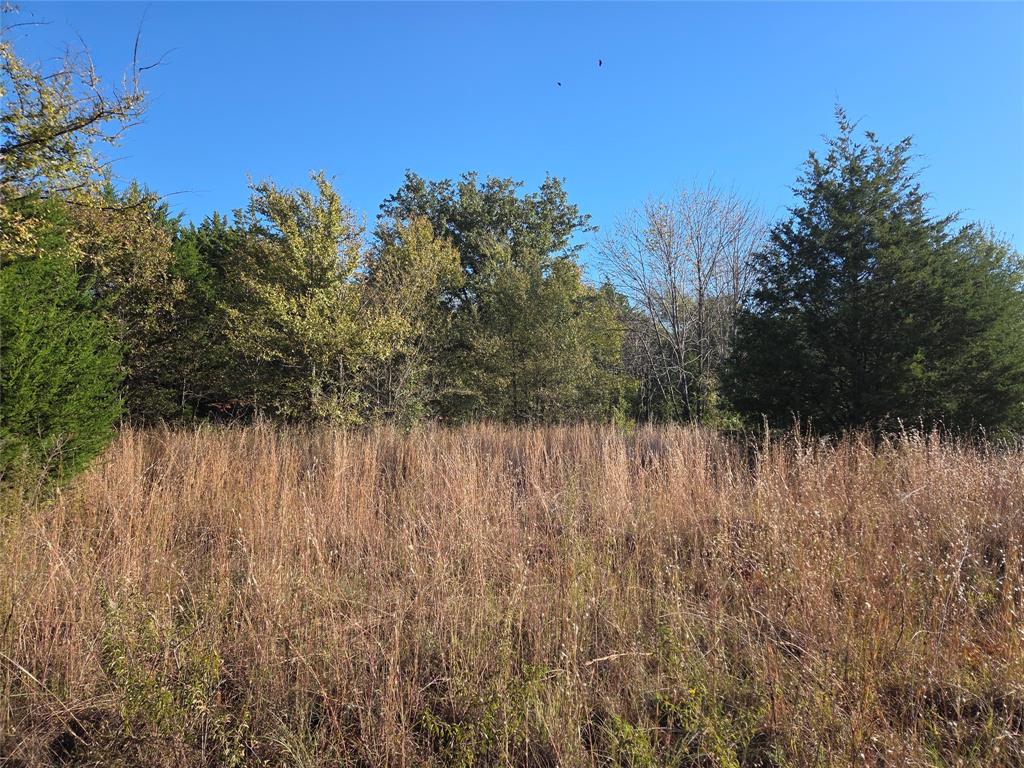 Lot 20 Sunrise W - Photo 11