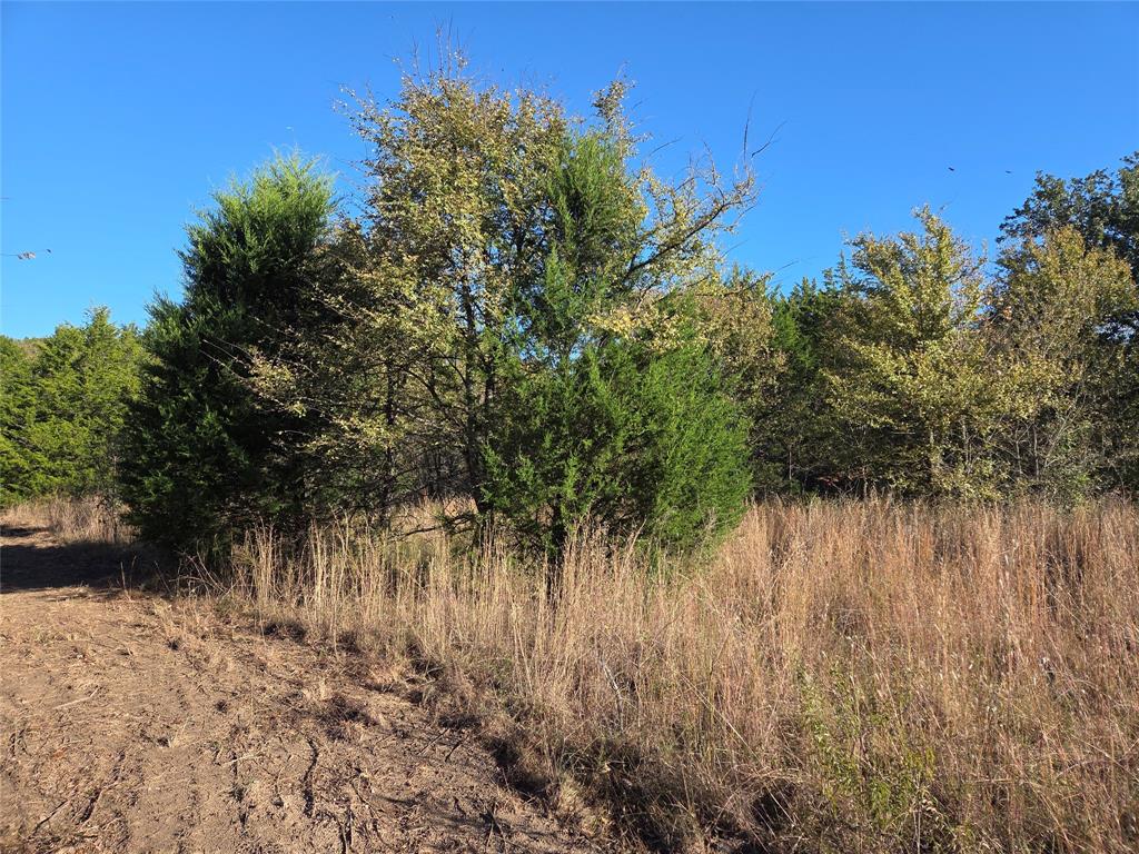 Lot 20 Sunrise W - Photo 12