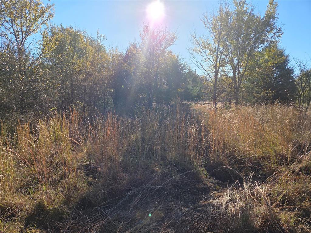 Lot 20 Sunrise W - Photo 13