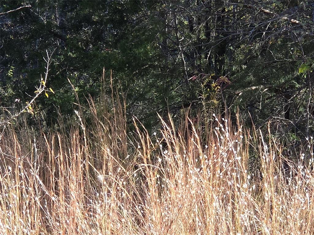 Lot 20 Sunrise W - Photo 17