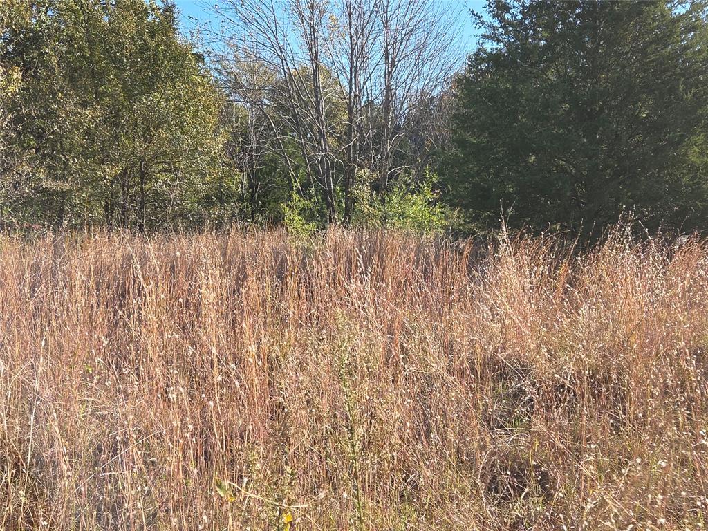 Lot 20 Sunrise W - Photo 21