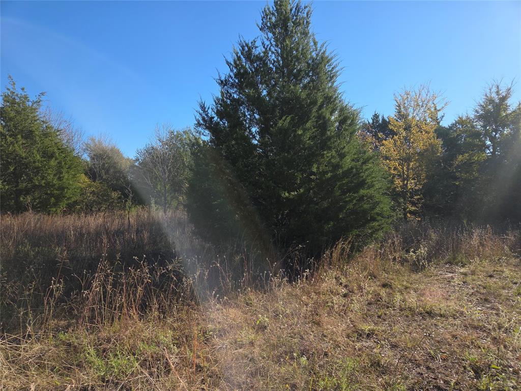 Lot 20 Sunrise W - Photo 22