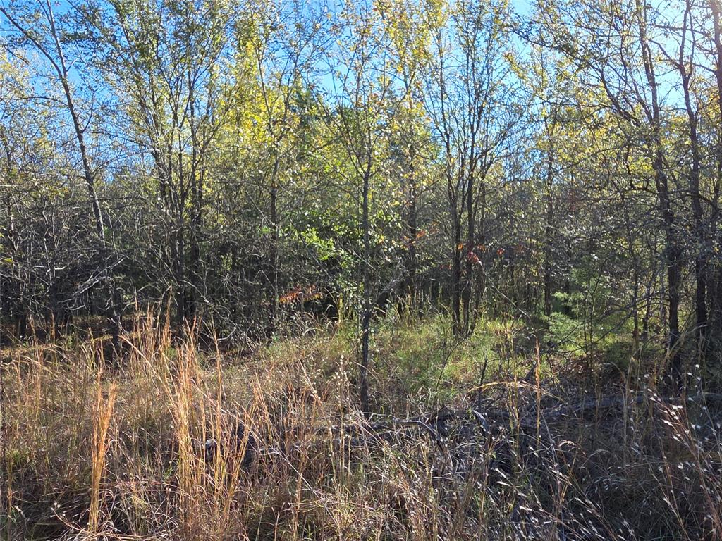 Lot 20 Sunrise W - Photo 24