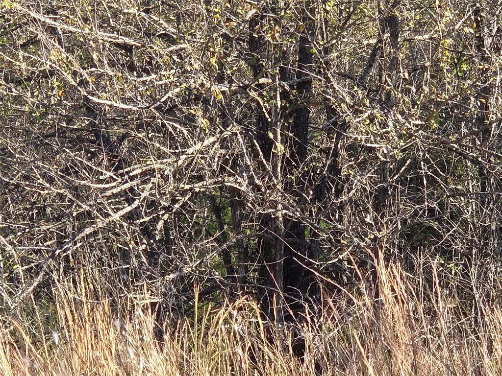 Lot 20 Sunrise W - Photo 28