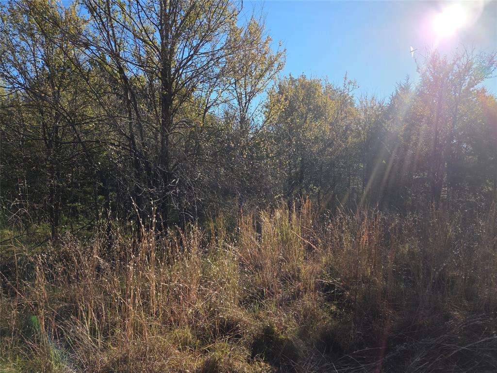 Lot 20 Sunrise W - Photo 5