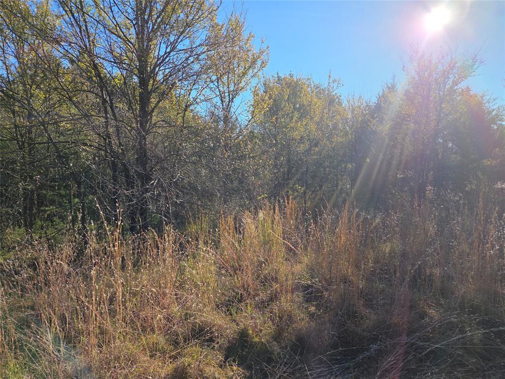 Lot 20 Sunrise W - Photo 6