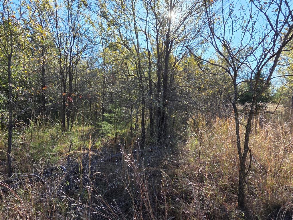 Lot 20 Sunrise W - Photo 7