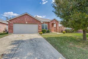 1617 Black Maple Drive - Photo 4