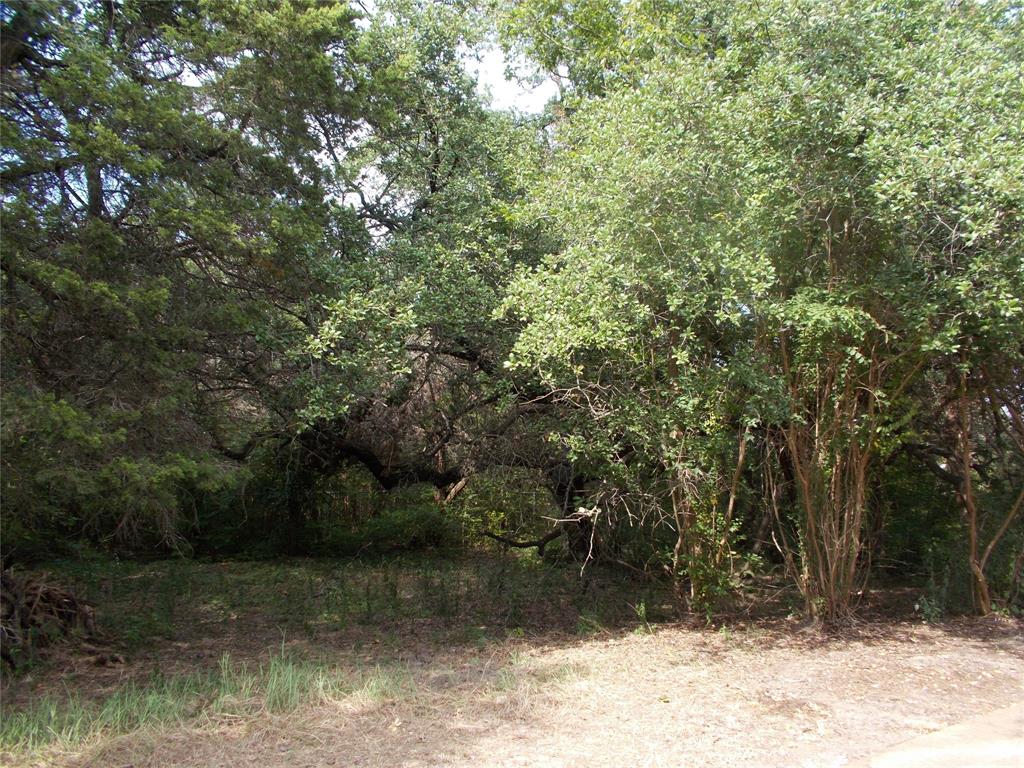 355 Rainbow Drive - Photo 1